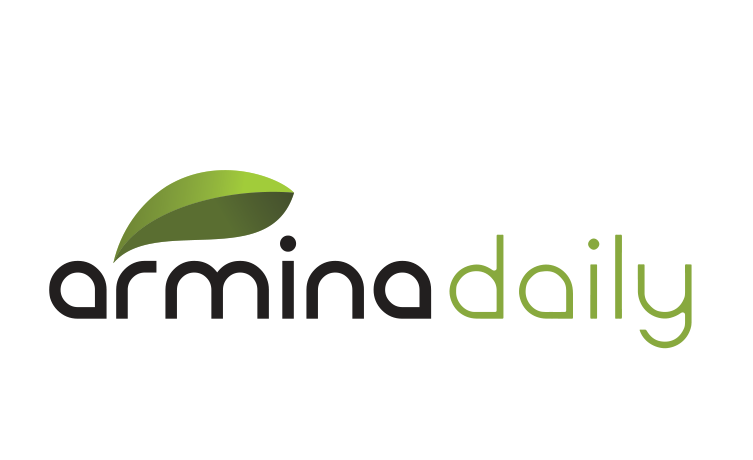 armina 6